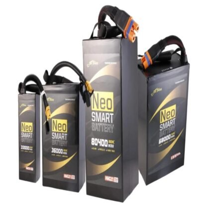 Semi-solid-state battery  1025066