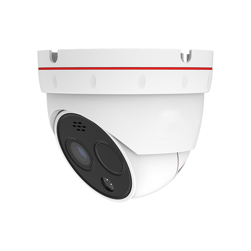 Dual-spectrum dome camera 1019016